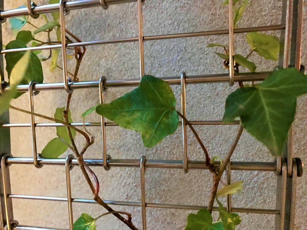 DL.5050 utomhusnät Pahlfer webb