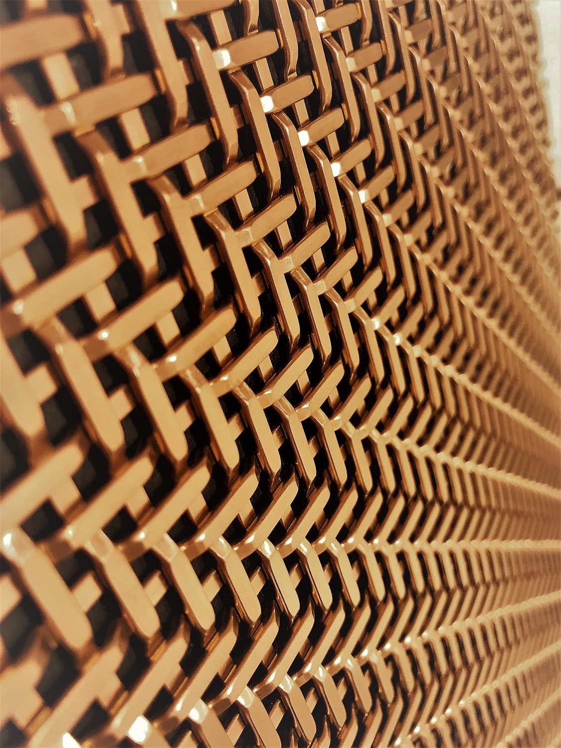 TWP.1 brons Pahlfer webb