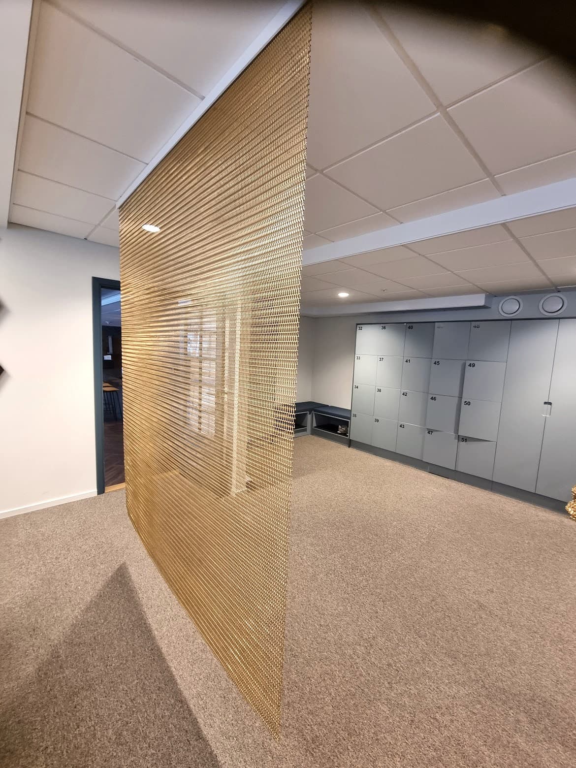 Pahlfer Carnegie Panel 1