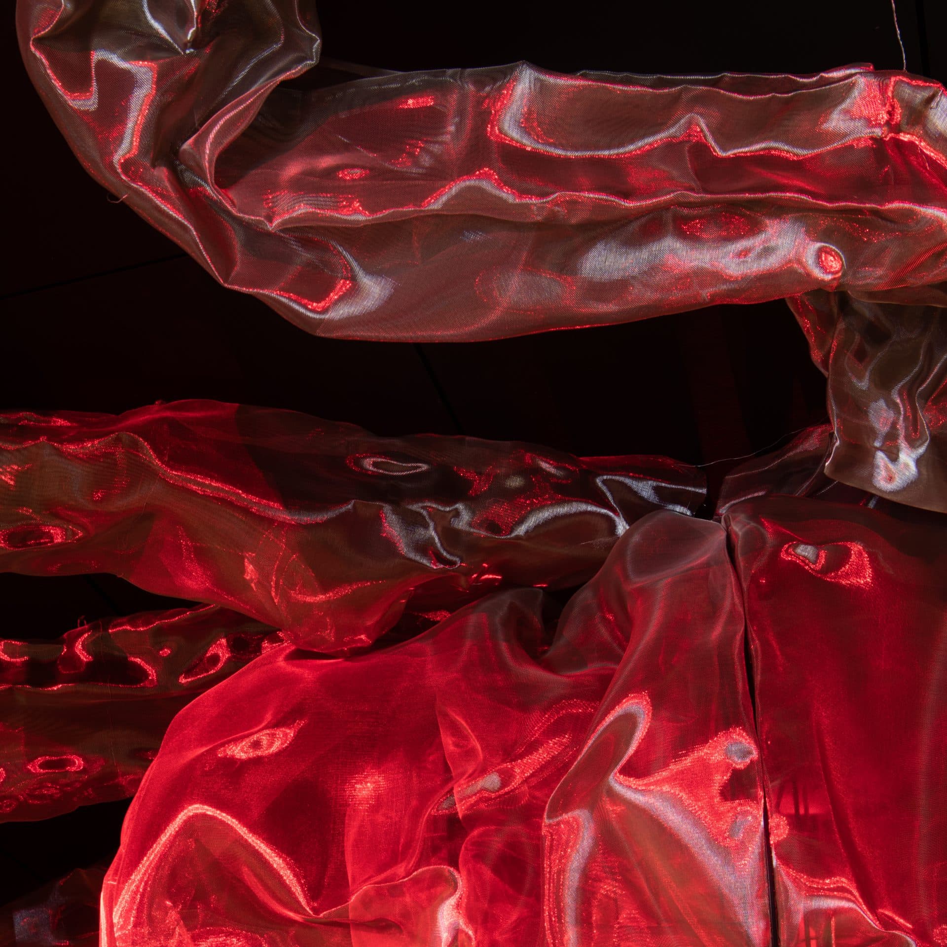 Lasse Olsson Photo-16605