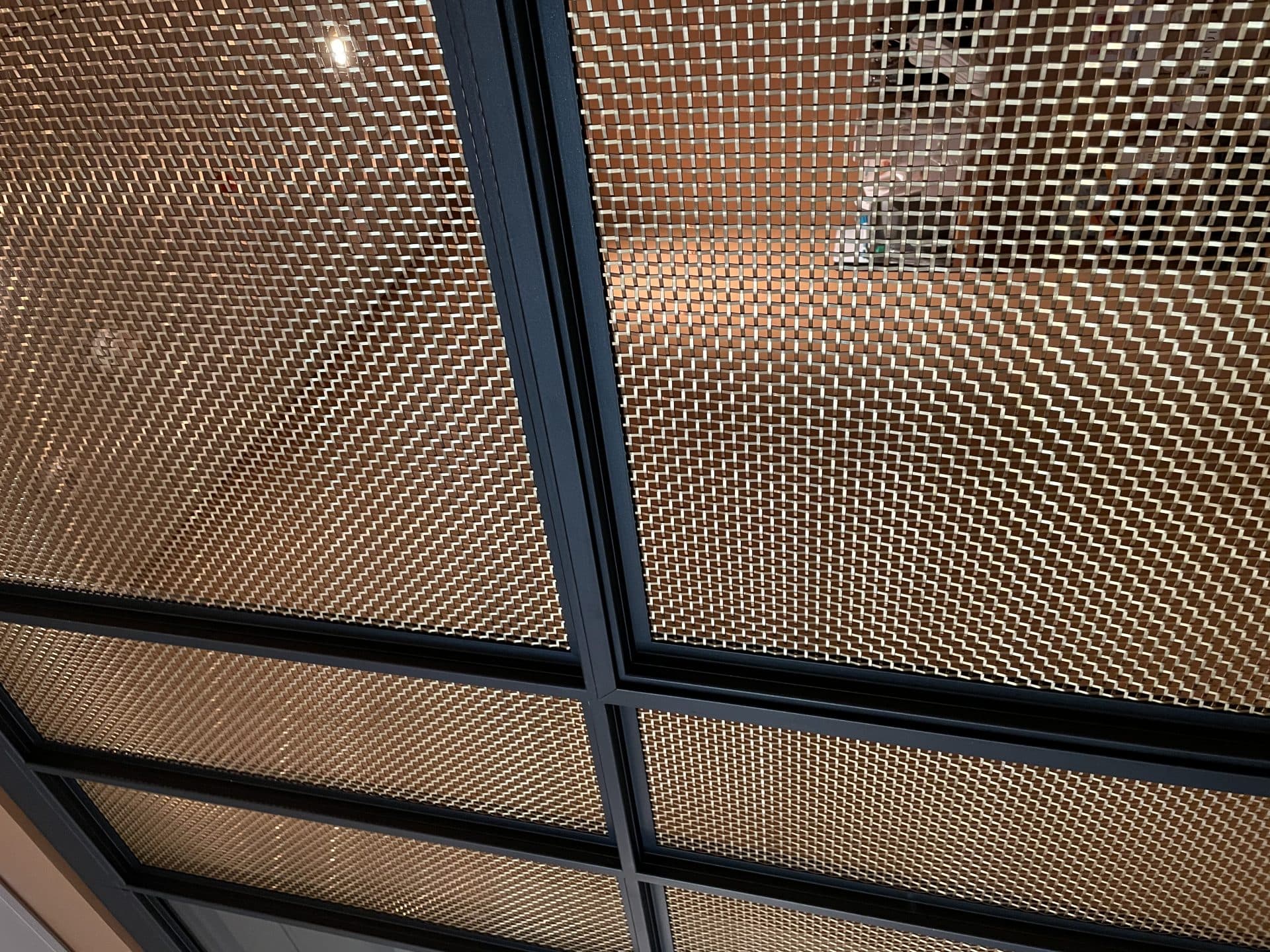 PAHLFER Villa Dagmar SP.50 massing