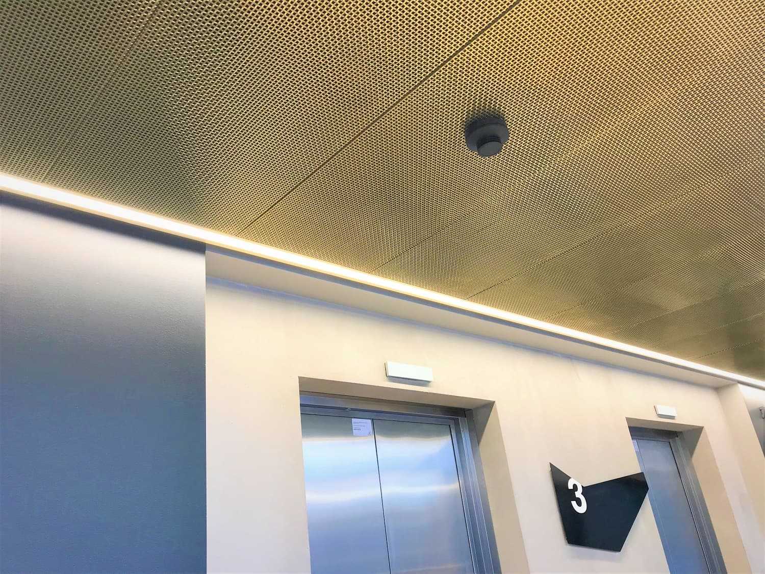 Pahlfer. SP.50 brass. Ceiling – webb